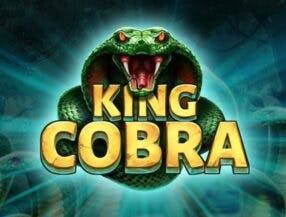jogo da galera